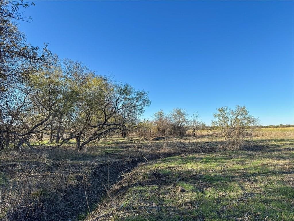 20 acres in McLennan County - photo 5