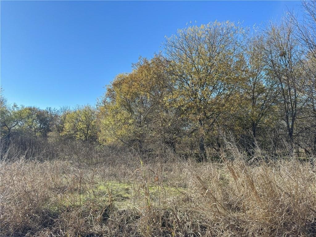 20 acres in McLennan County - photo 26