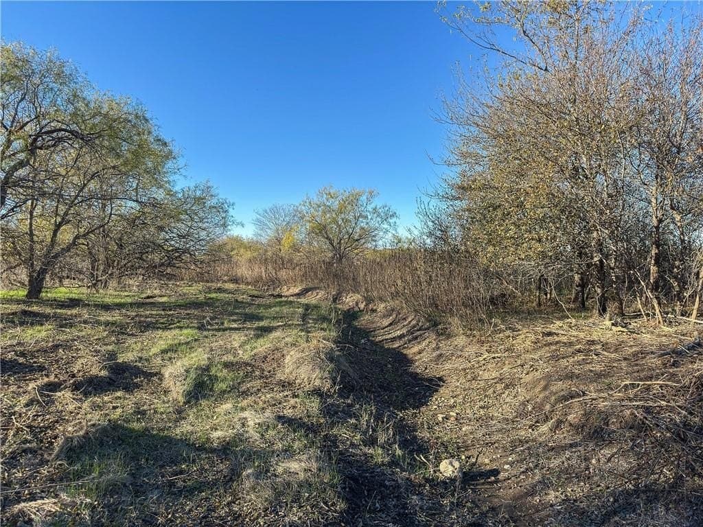 20 acres in McLennan County - photo 19