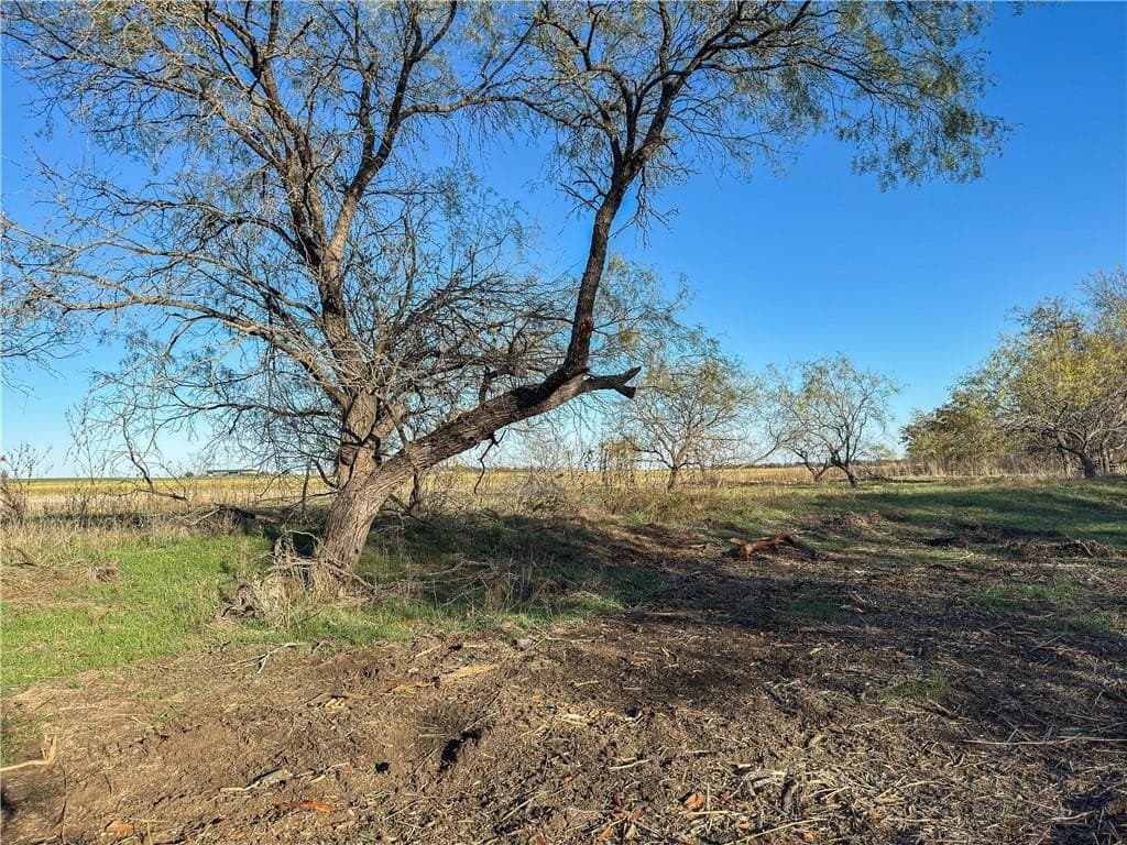 20 acres in McLennan County - photo 18