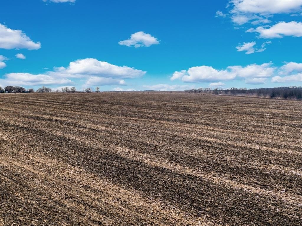 59.35 acres in Ellis County - photo 22