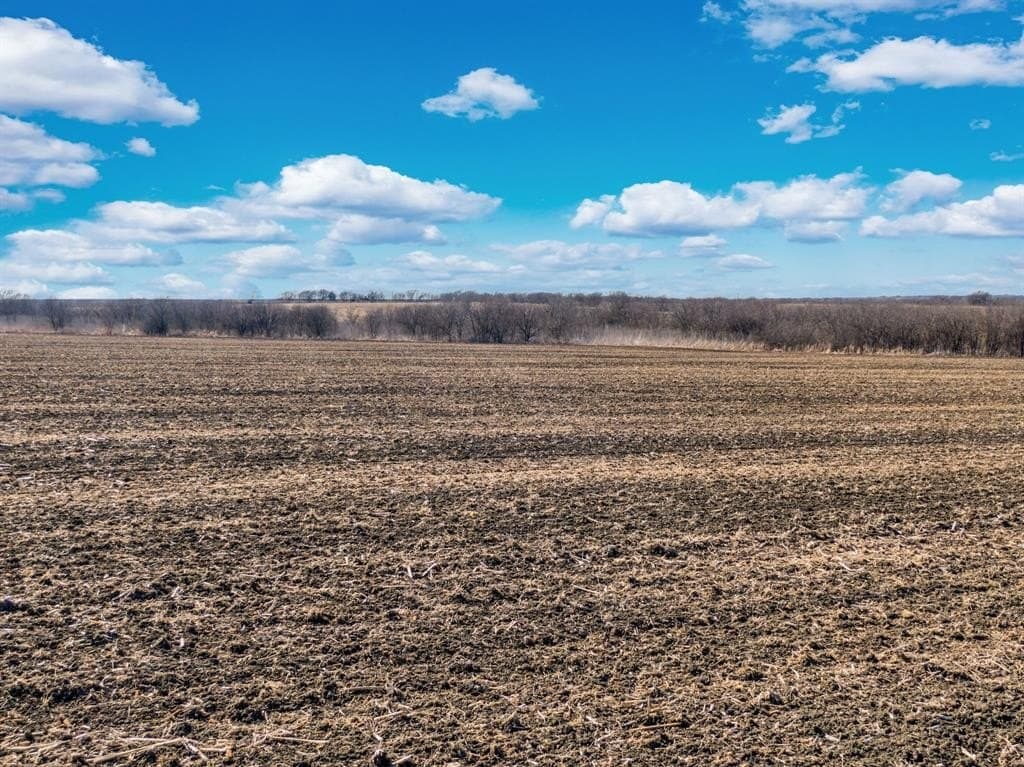 59.35 acres in Ellis County - photo 24