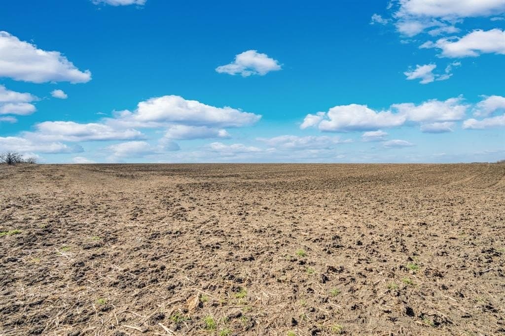 59.35 acres in Ellis County - photo 12