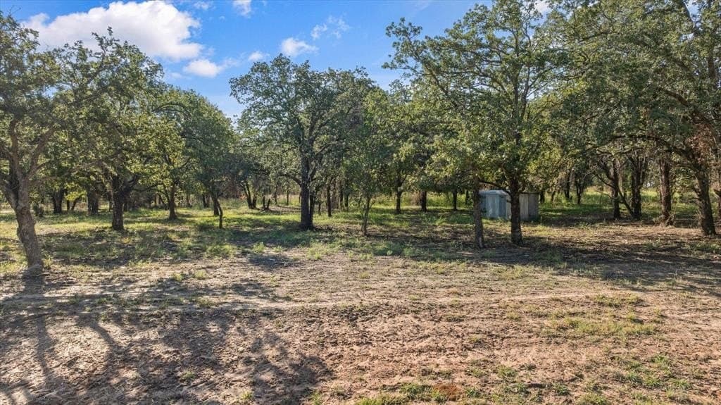 6.56 acres in Erath County - photo 5