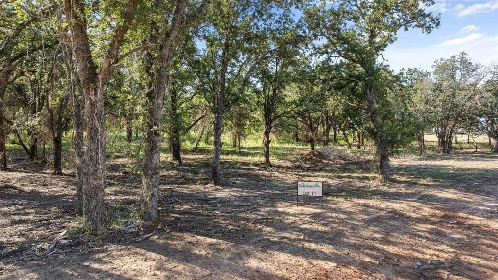 6.56 acres in Erath County - photo 2