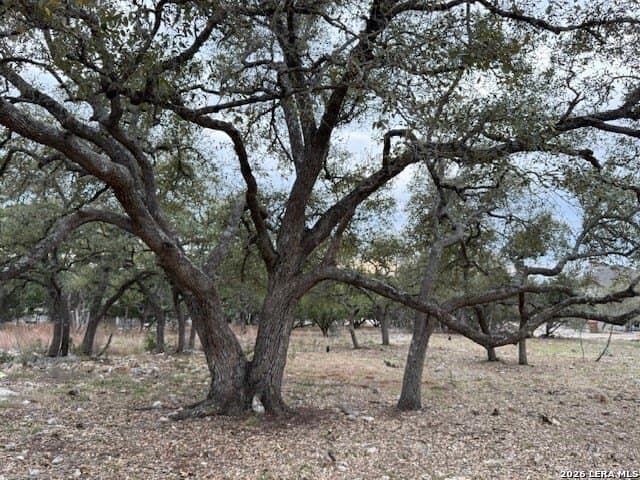 0.25 acres in Blanco County - photo 2