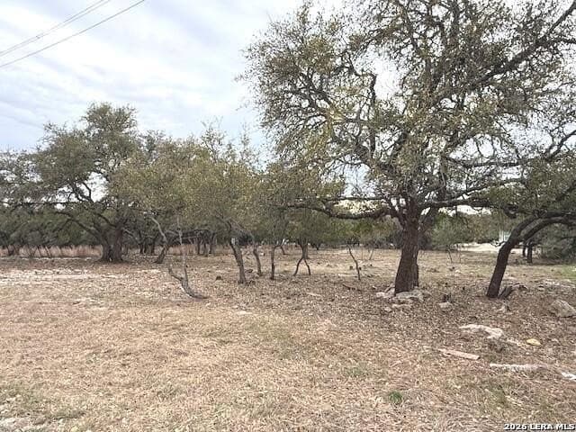 0.25 acres in Blanco County - photo 4