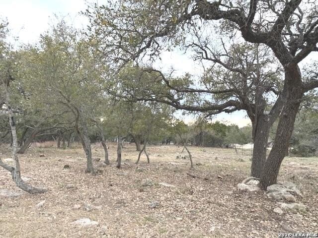 0.25 acres in Blanco County - photo 5