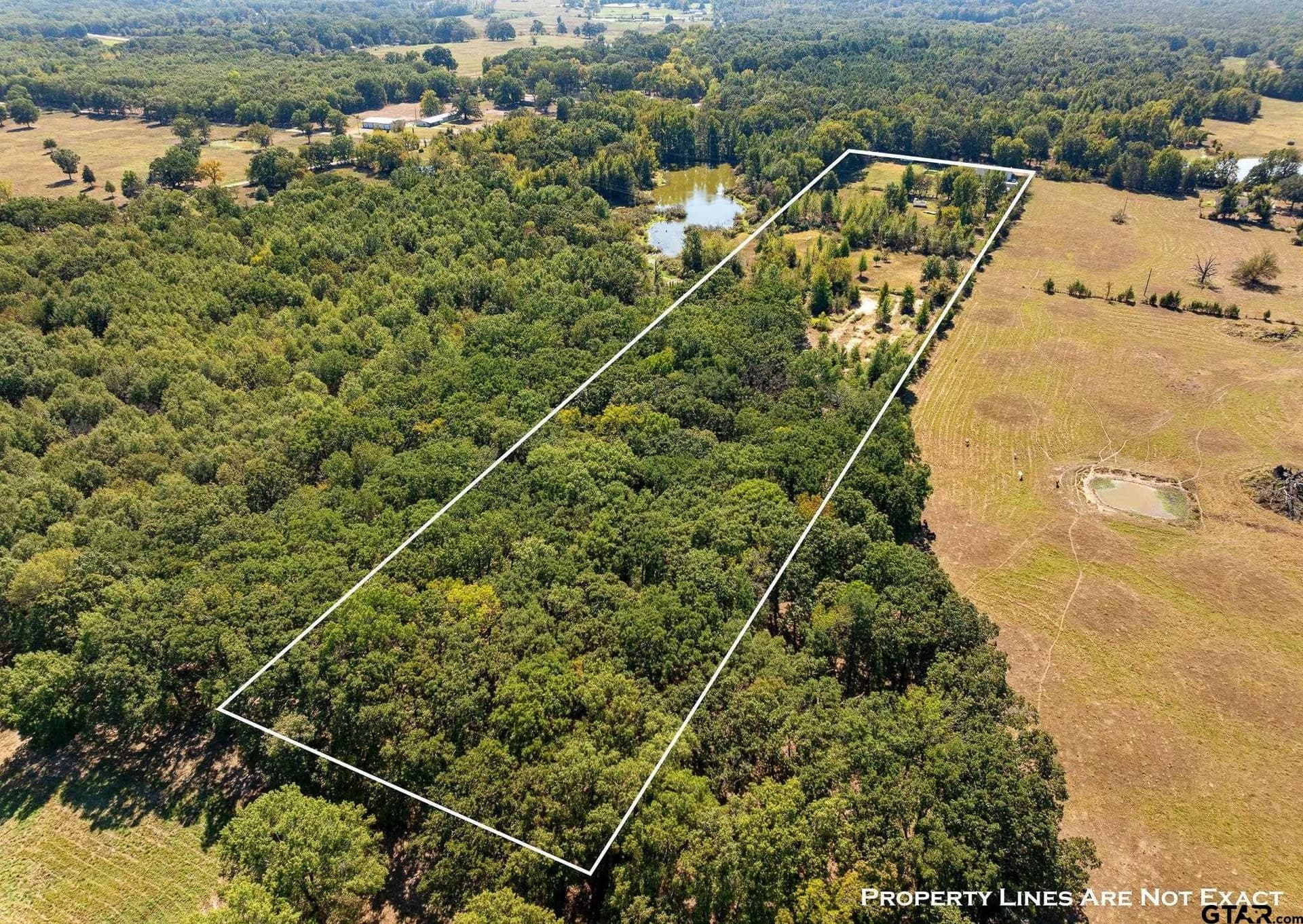 13.04 acres in Titus County - photo 22