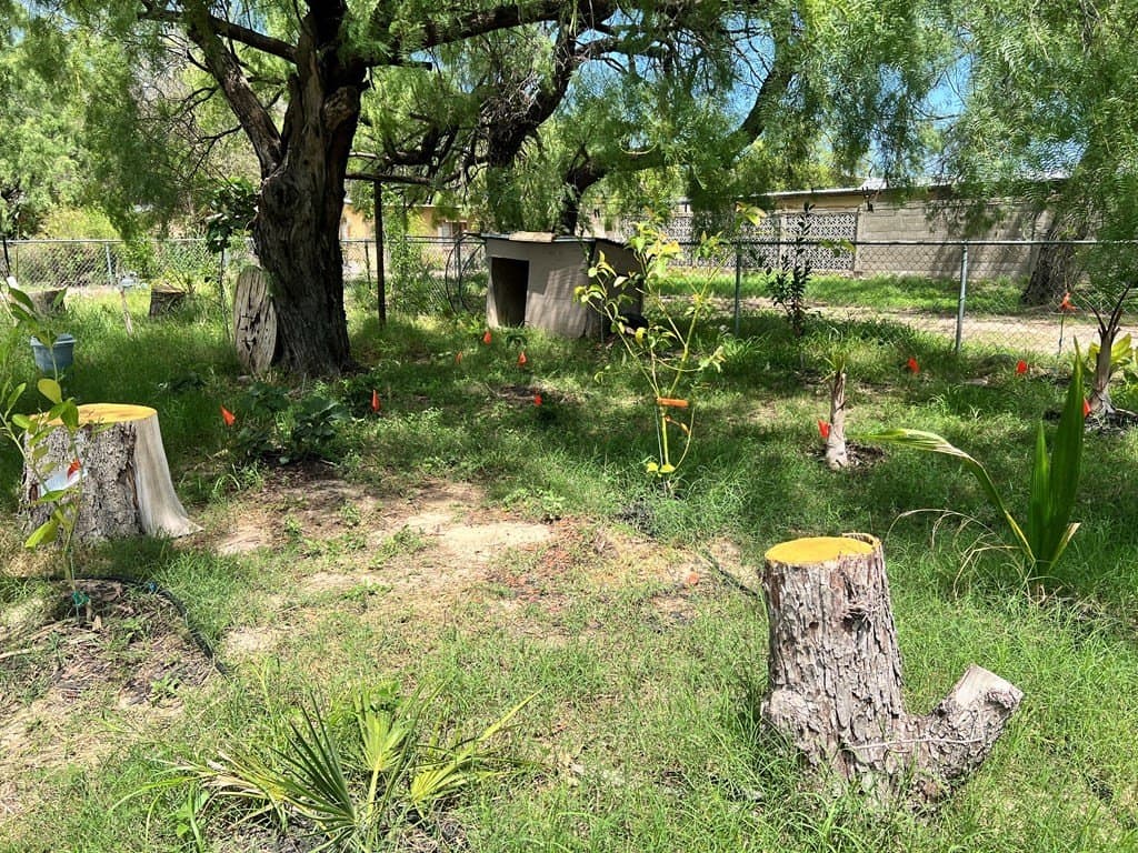 7,150 acres in Maverick County - photo 17