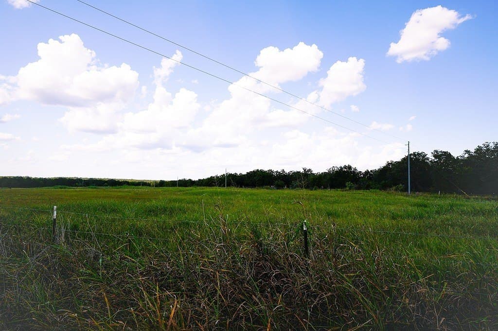 11.84 acres in Fayette County - photo 5
