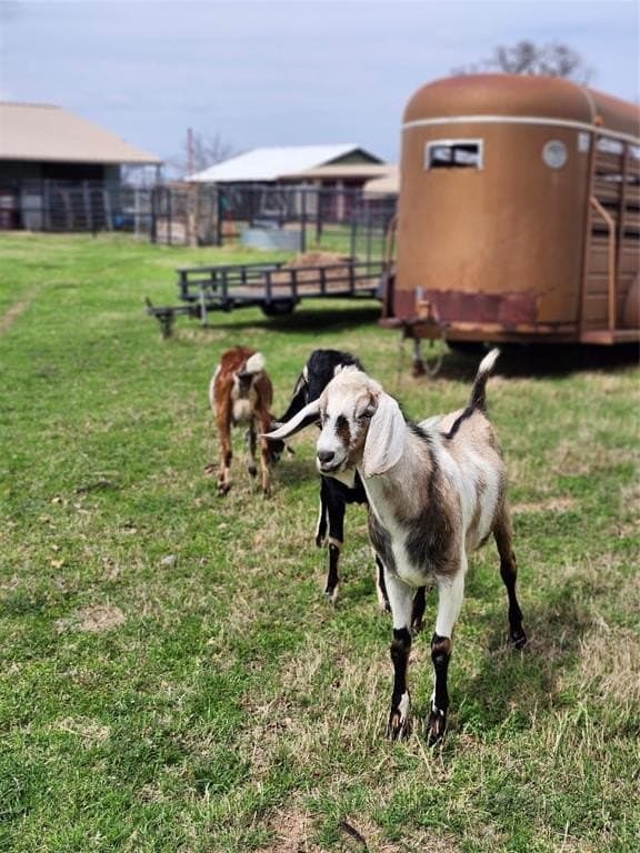 14 acres in Parker County - photo 39