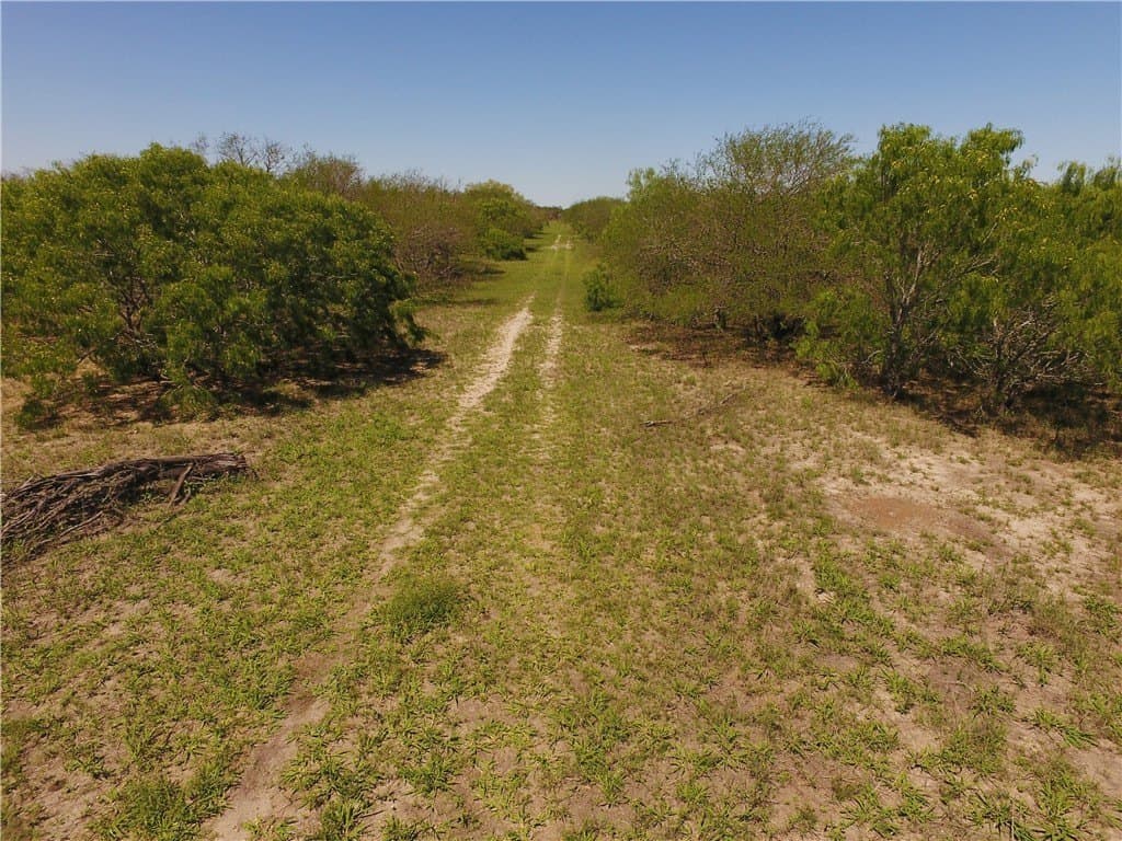 180 acres in Kleberg County - photo 7
