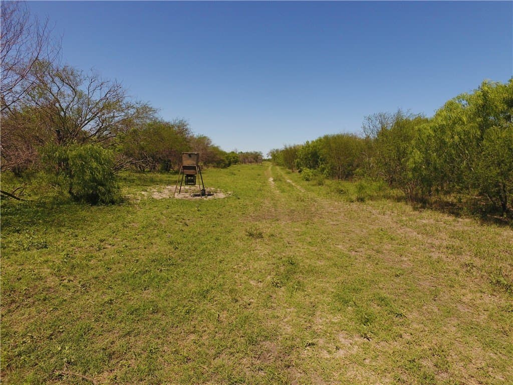 180 acres in Kleberg County - photo 8