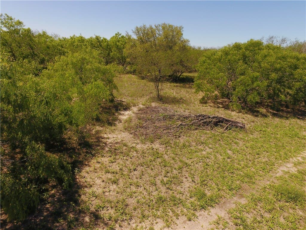 180 acres in Kleberg County - photo 6