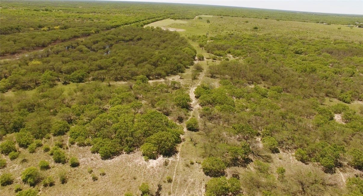 180 acres in Kleberg County - photo 5