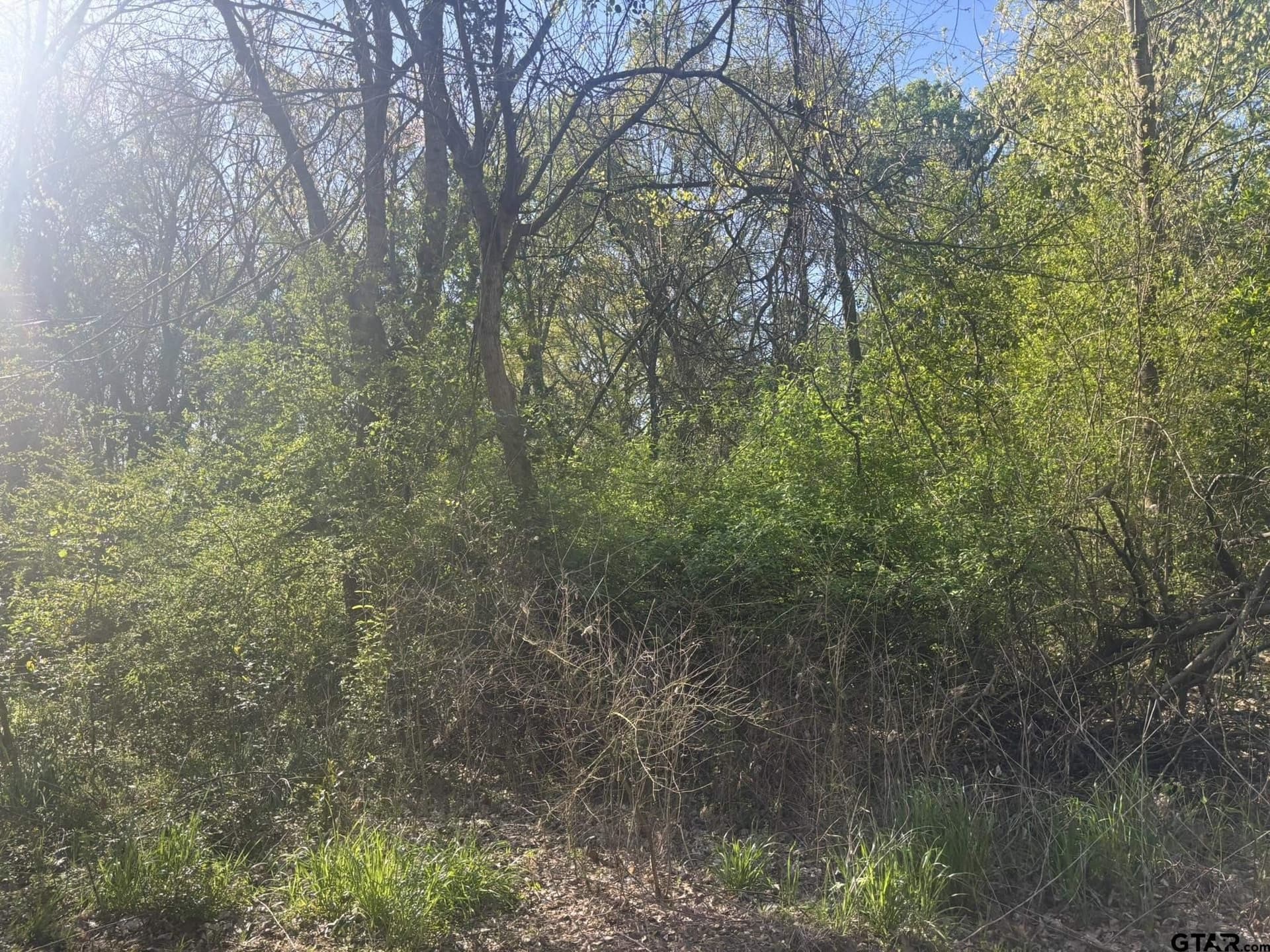 4.5 acres in Camp County - photo 4