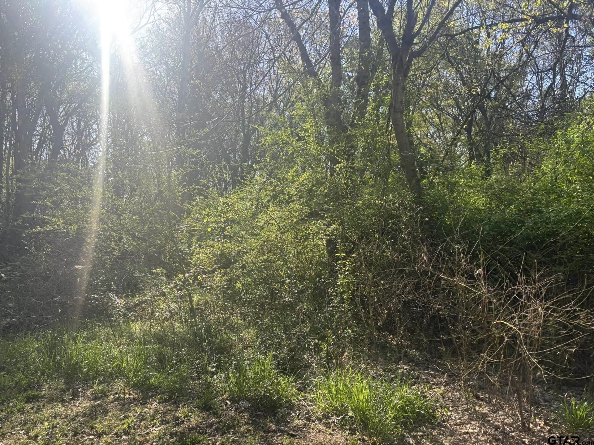 4.5 acres in Camp County - photo 5