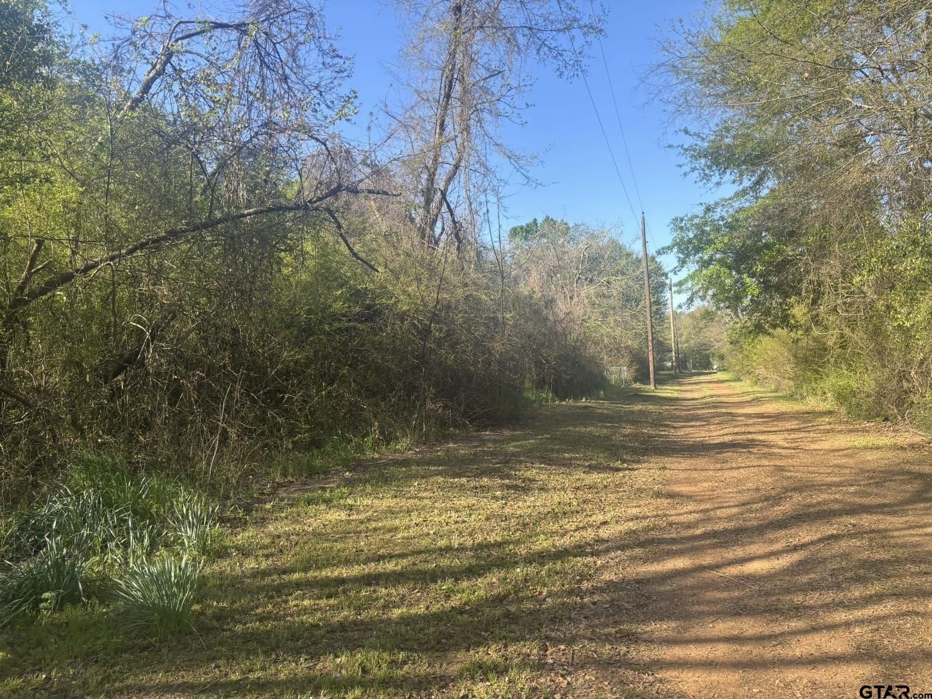4.5 acres in Camp County - photo 3