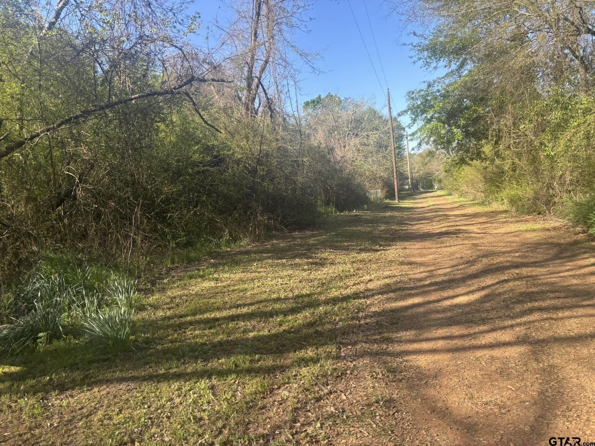 4.5 acres in Camp County - photo 2