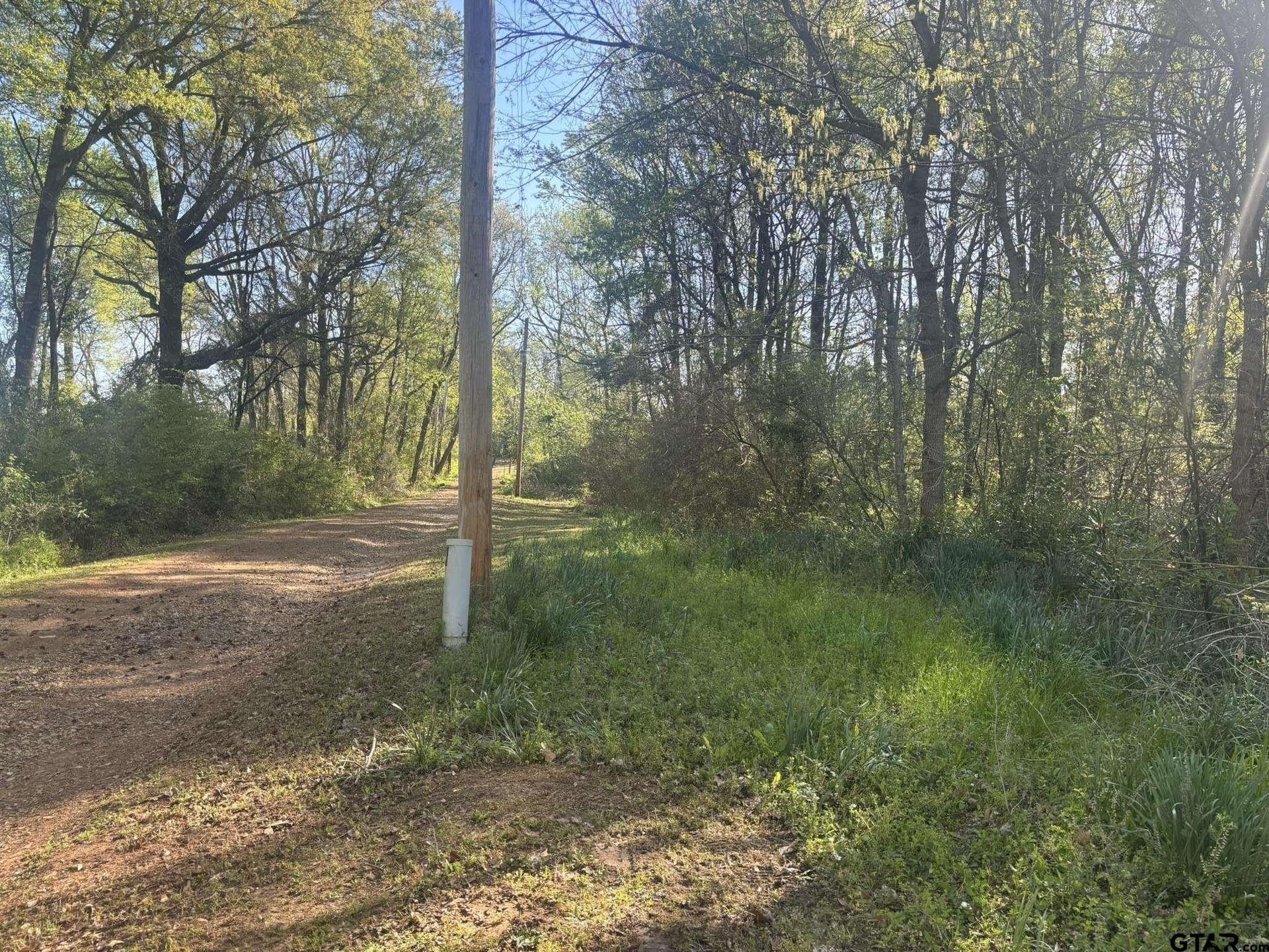 4.5 acres in Camp County - photo 6