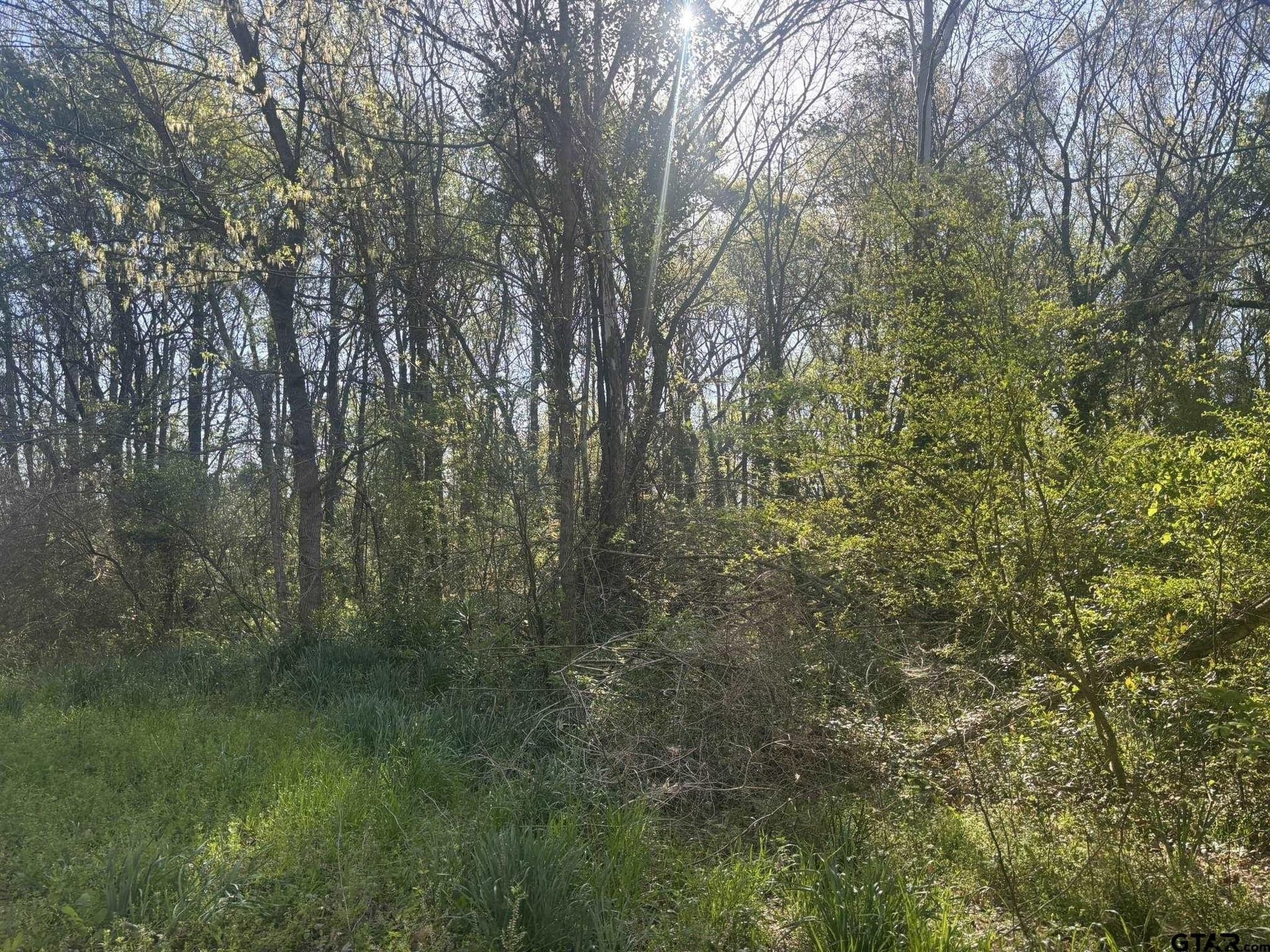 4.5 acres in Camp County - photo 7