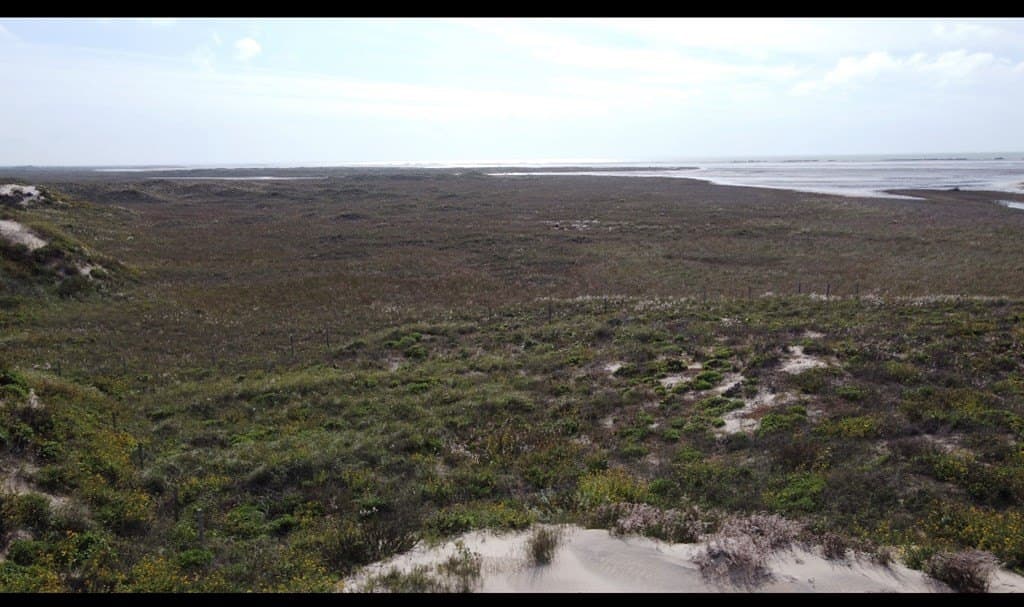 0 acres in Cameron County - photo 2
