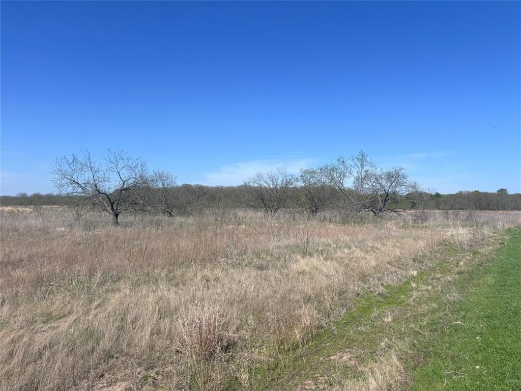 10.01 acres in Hill County - photo 3