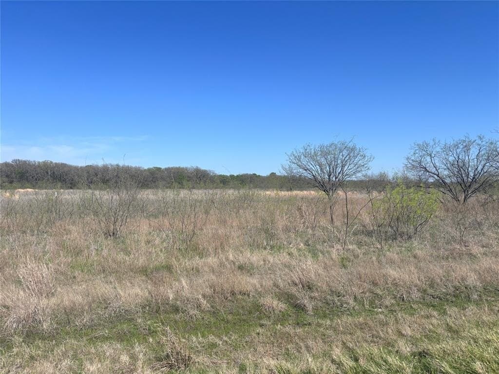 10.01 acres in Hill County - photo 4