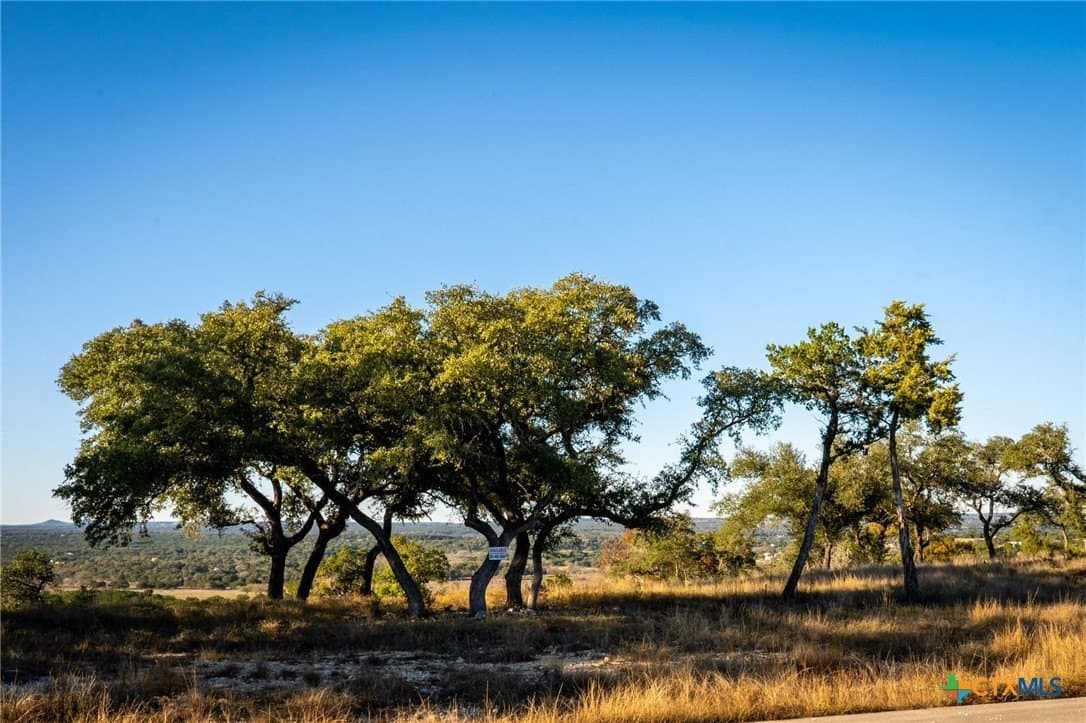 1.48 acres in Comal County - photo 5