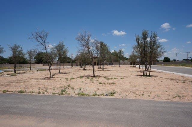 0.36 acres in Midland County - photo 6