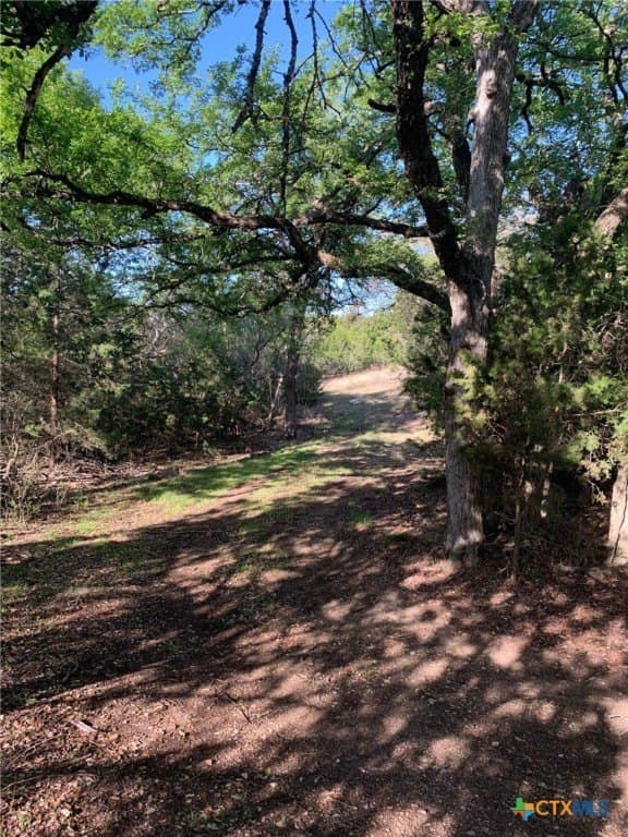 30 acres in Bell County - photo 23