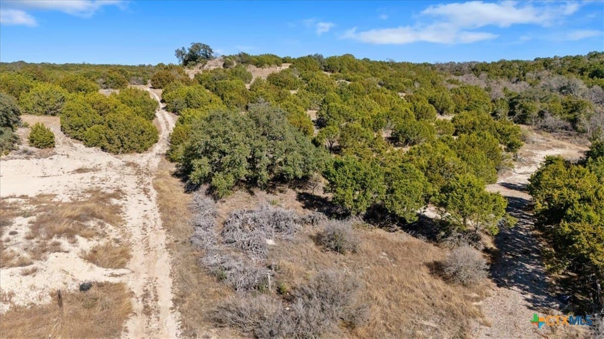 30 acres in Bell County - photo 18