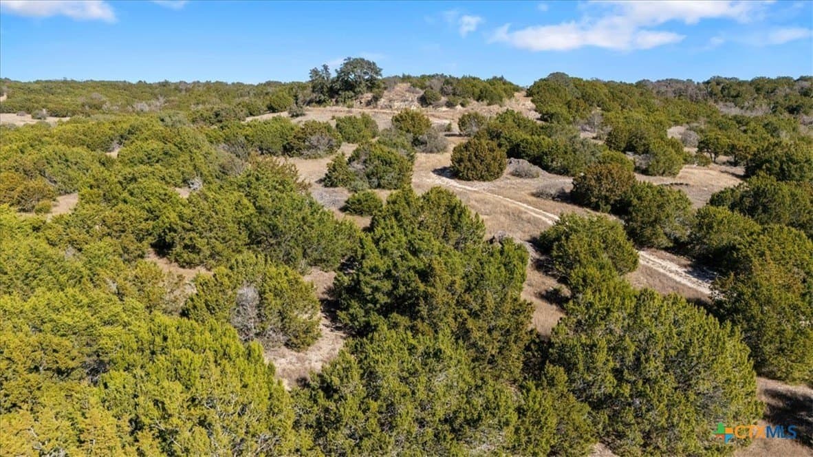 30 acres in Bell County - photo 19