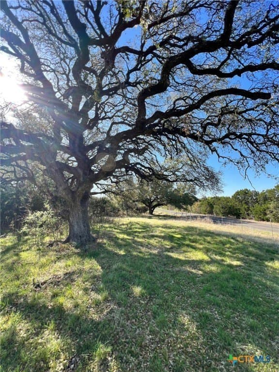 30 acres in Bell County - photo 24
