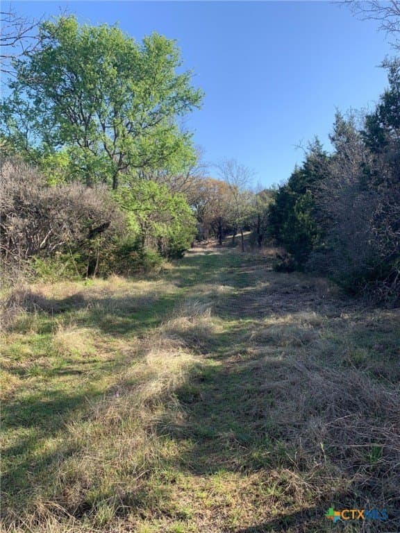 30 acres in Bell County - photo 25