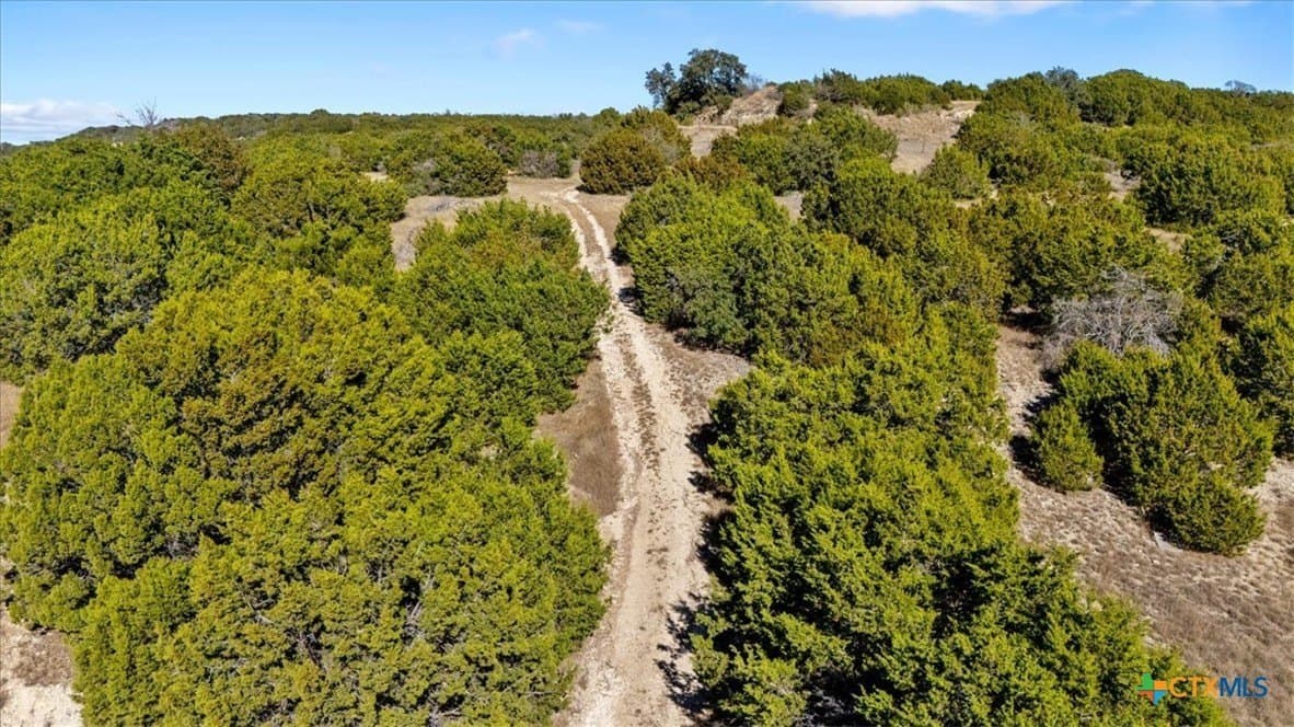 30 acres in Bell County - photo 22