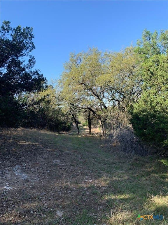 30 acres in Bell County - photo 31