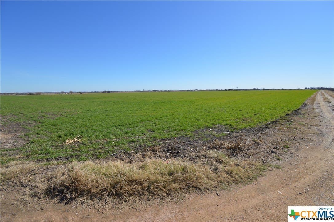 187.4 acres in Williamson County - photo 2