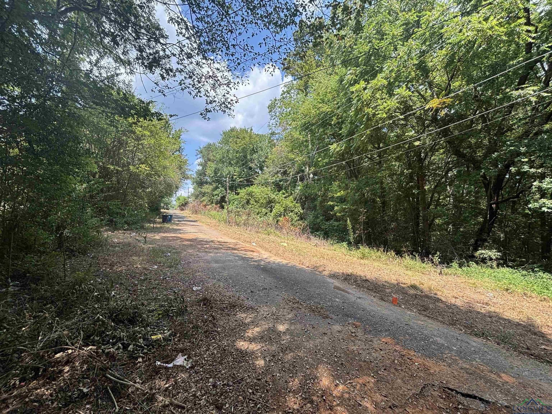 0.23 acres in Texas County - photo 3