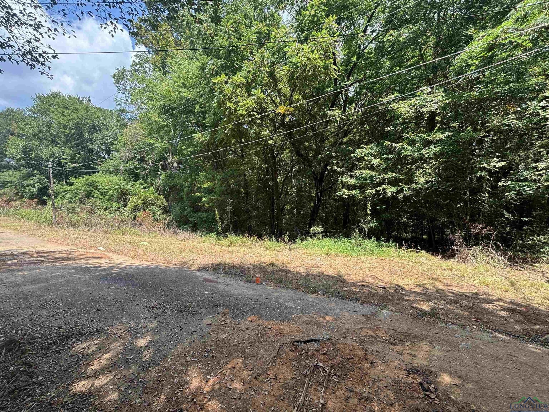 0.23 acres in Texas County - photo 2