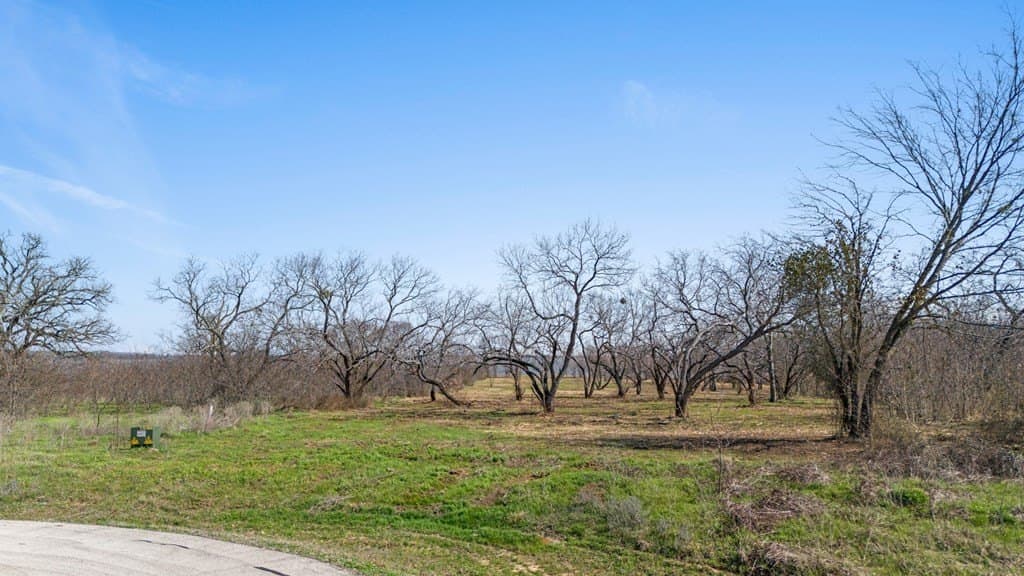 2.8 acres in Kaufman County - photo 4