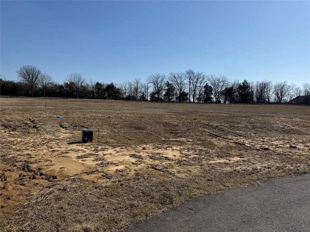 1.02 acres in Fannin County - photo 4