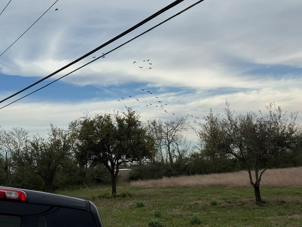 28.94 acres in Texas County - photo 4