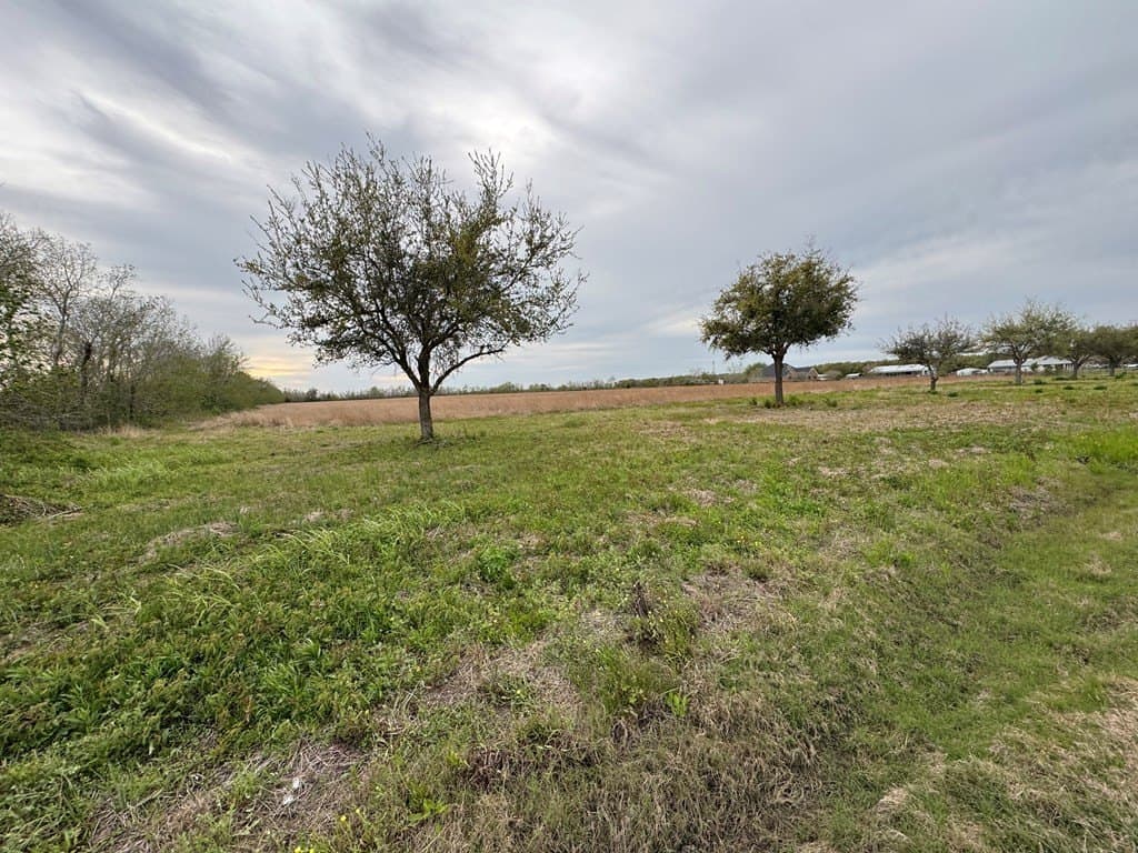 28.94 acres in Texas County - photo 11