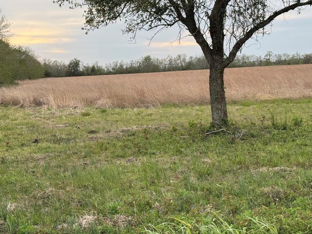 28.94 acres in Texas County - photo 10