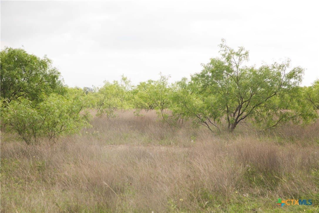 20.02 acres in Lampasas County - photo 16