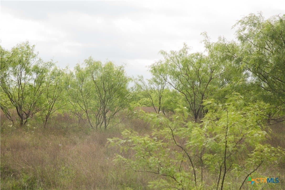 20.02 acres in Lampasas County - photo 15