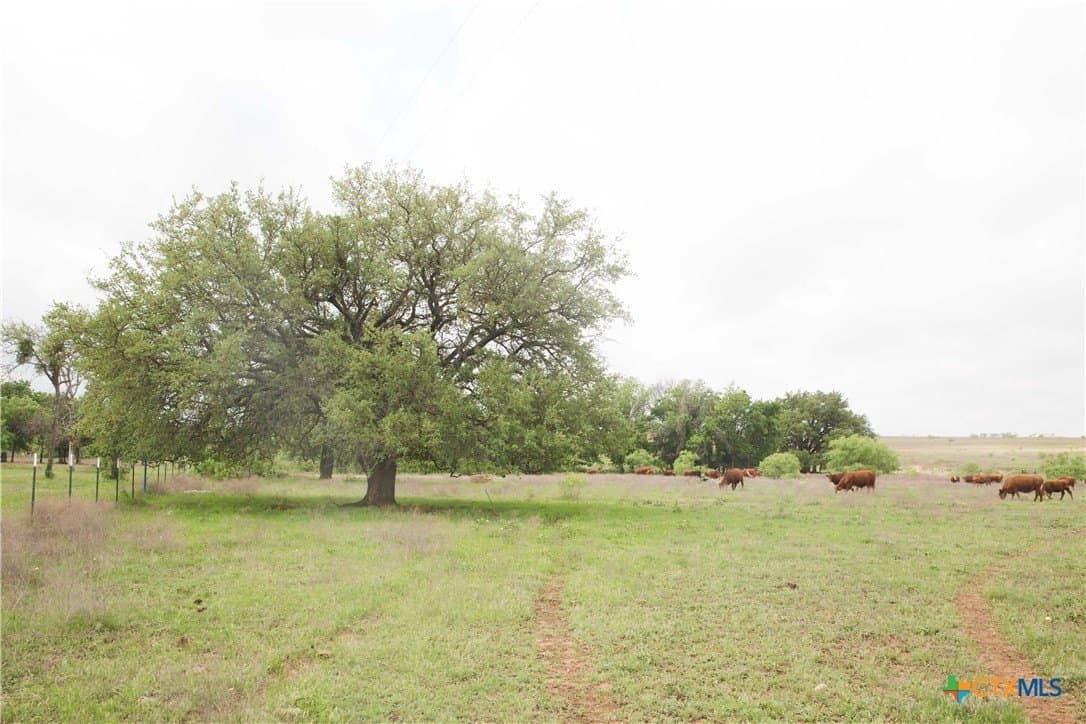 20.02 acres in Lampasas County - photo 12