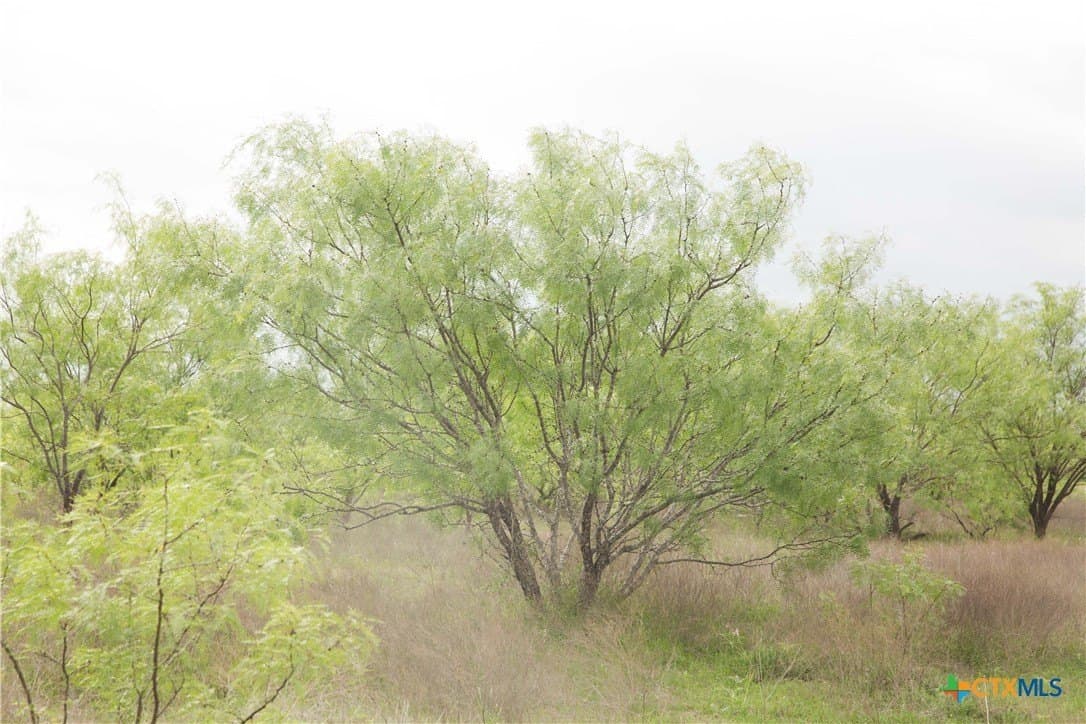 20.02 acres in Lampasas County - photo 14